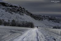 Los campos de Islandia...