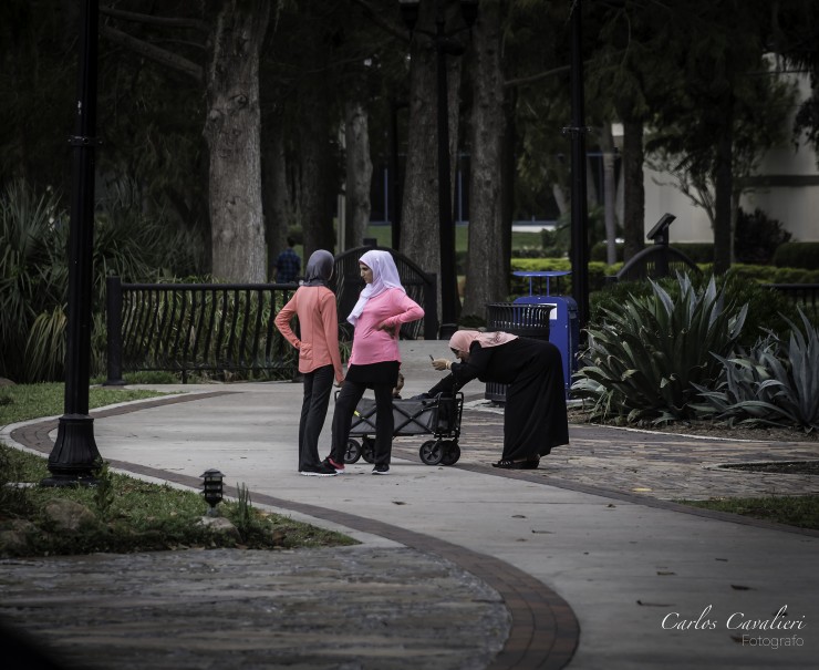 Foto 4/La vieja costumbre del parque...