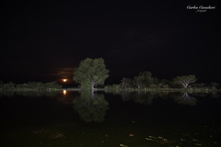 Foto 4/La Magia de la oscuridad...