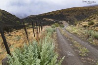 El Campo Patagonico...