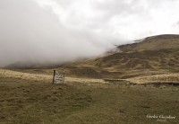 El Campo Patagonico...