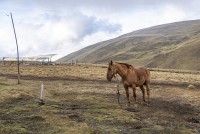 El Campo Patagonico...