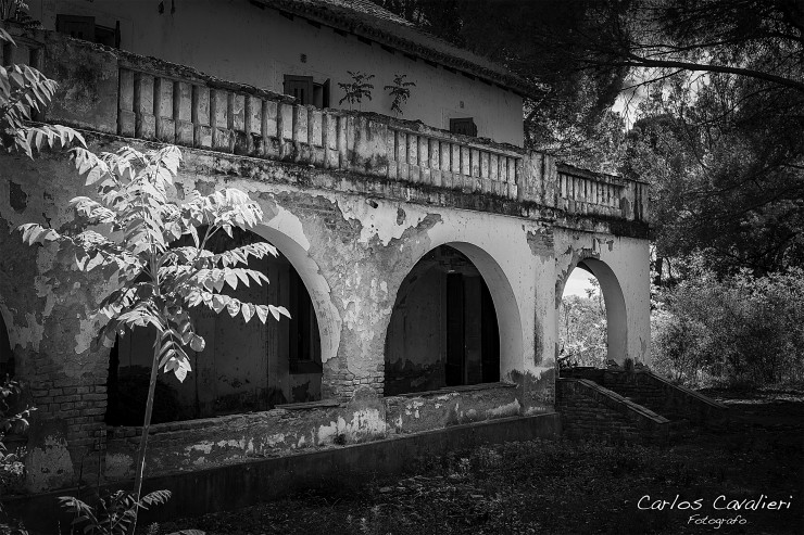 Foto 2/La Vieja Finca, mil historias...