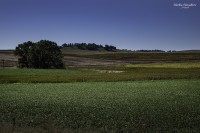 Desde la orilla de la ruta...