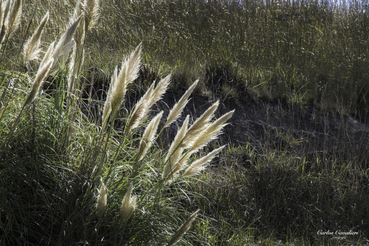 Foto 2/Los Campos de Tandil...