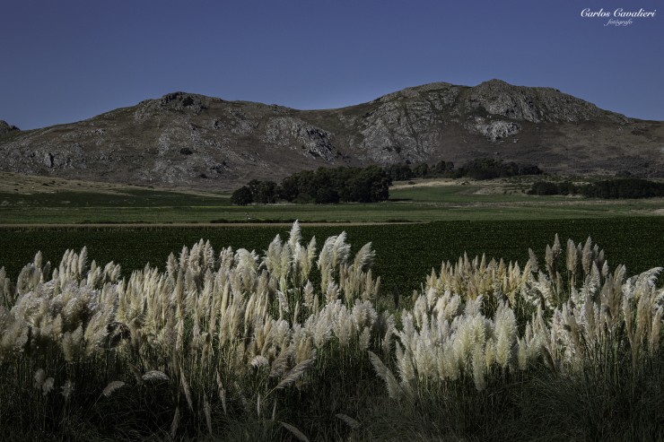 Foto 3/Los Campos de Tandil...