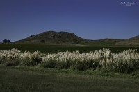 Los Campos de Tandil...