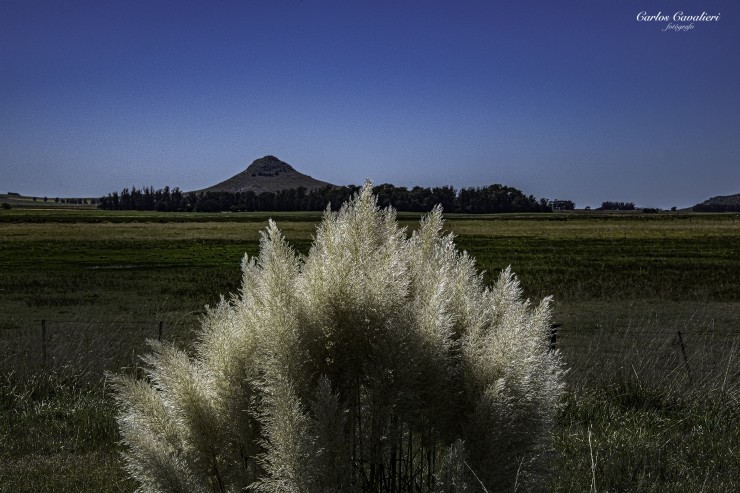 Foto 5/Los Campos de Tandil...