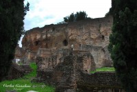 Paseo por el Foro Romano.