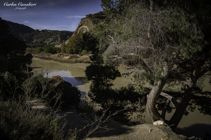 Foto 5/Los dueos del monte...