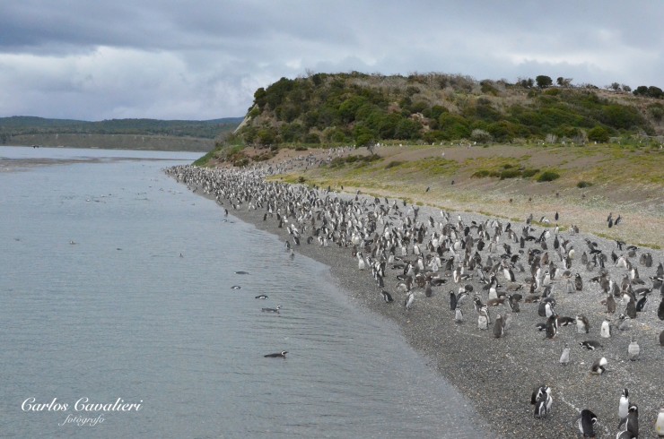 Foto 5/`Las playas del sur`