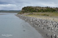 `Las playas del sur`