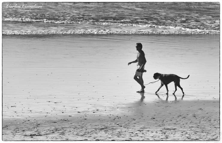 Foto 3/Las Playas de Baja California.