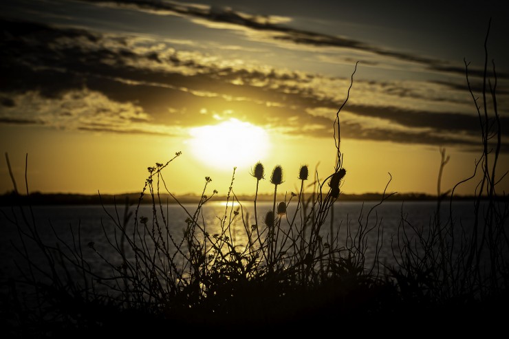 Foto 1/La la tarde en Cascallares...