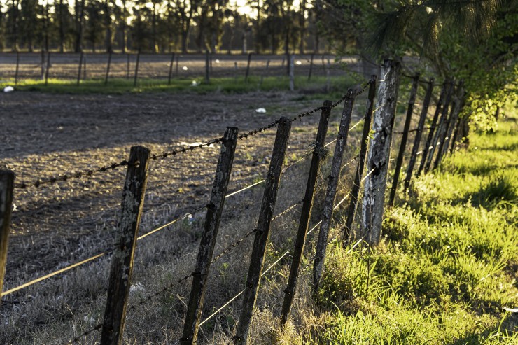 Foto 1/Los limites del campo...