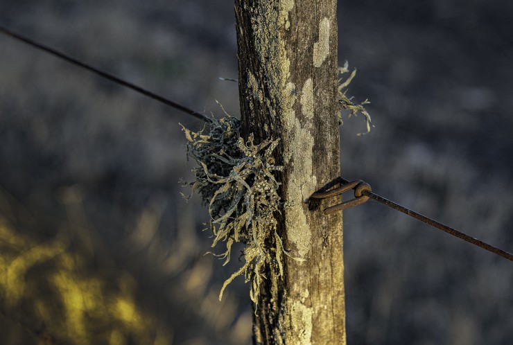 Foto 5/Los limites del campo...