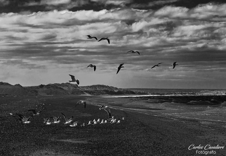 Foto 1/A.Vuelo de Pajaro...