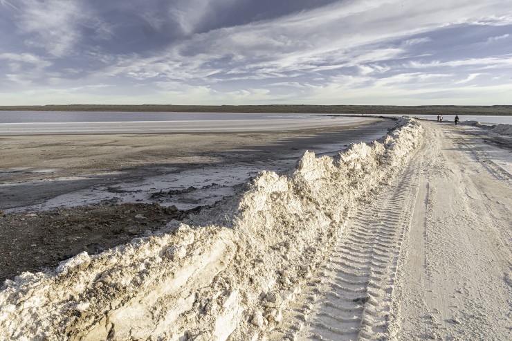 Foto 1/`El salar de Ansoategui...`