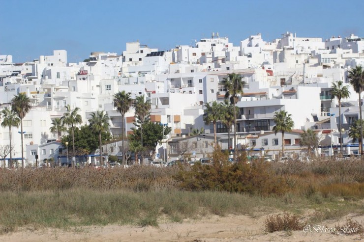 Foto 2/Conil de la Frontera, Cdiz