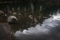 Reflejos en el agua...