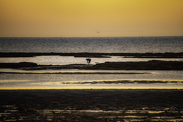 Foto 4/Playas en soledad...