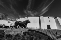 Tarde de Toros...