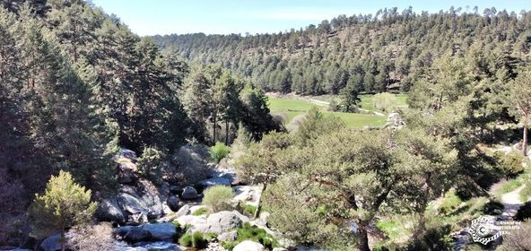 Foto 2/Las Chorreras, Hoyos del Espino (vila)