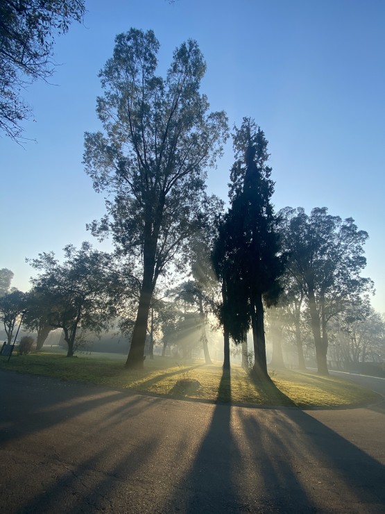 Foto 1/Todo el parque a contraluz...