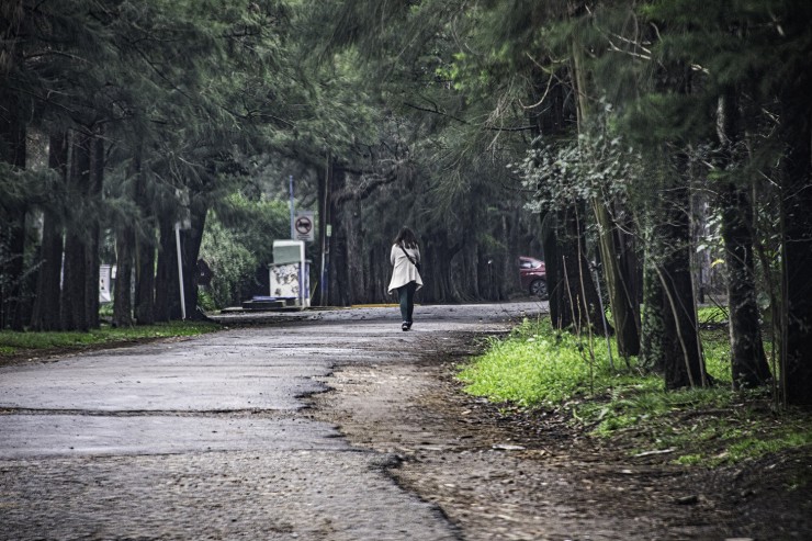 Foto 2/caminando por el arque...