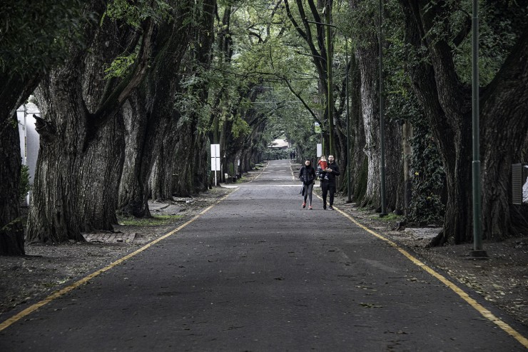 Foto 5/caminando por el arque...