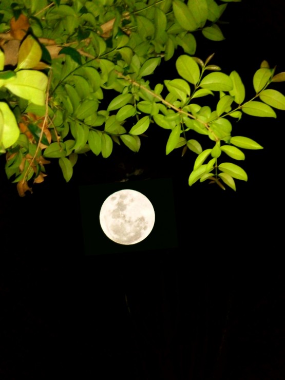 Foto 4/La luna