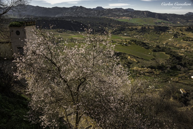 Foto 5/Las tardecitas andaluzas...