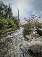 Los Rios patagonicos.