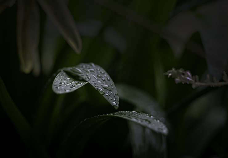 Foto 2/Domingo de lluvia en mi ventana...