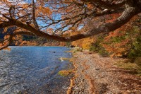 Lago Hermoso