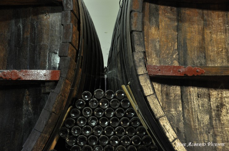 Foto 4/los viejos toneles, bodegas Baudron