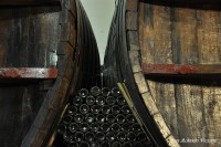 los viejos toneles, bodegas Baudron