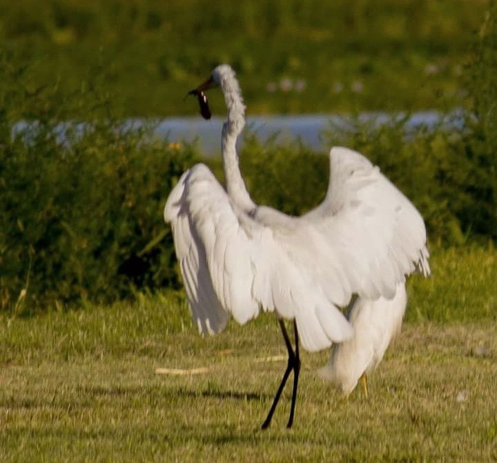 Foto 4/Garza