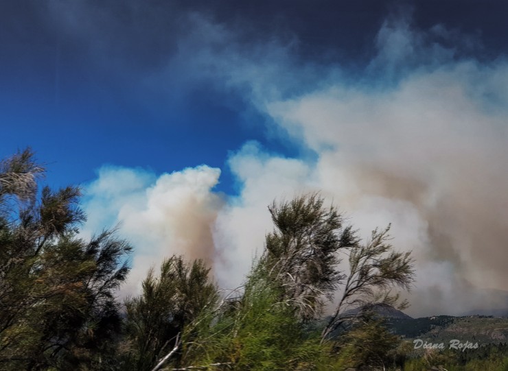 Foto 2/Incendio en Parque Nacional Los Alerces