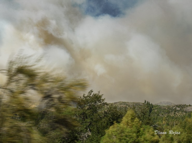 Foto 4/Incendio en Parque Nacional Los Alerces