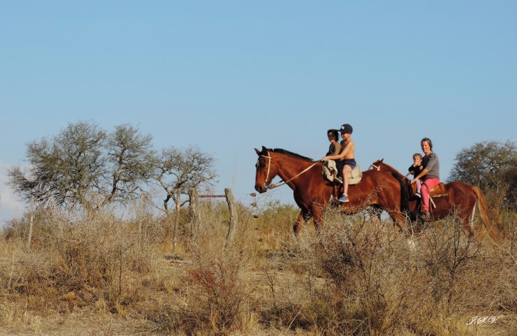 Foto 4/Nios de Campo