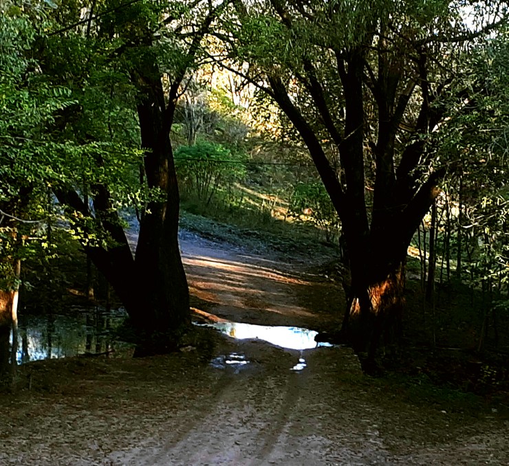 Foto 4/Estancia vieja