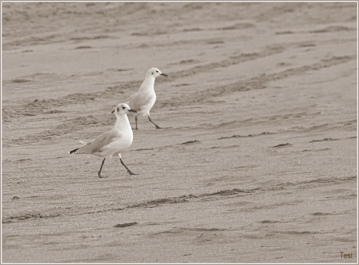 Foto 4/Soledad en la playa otoal.