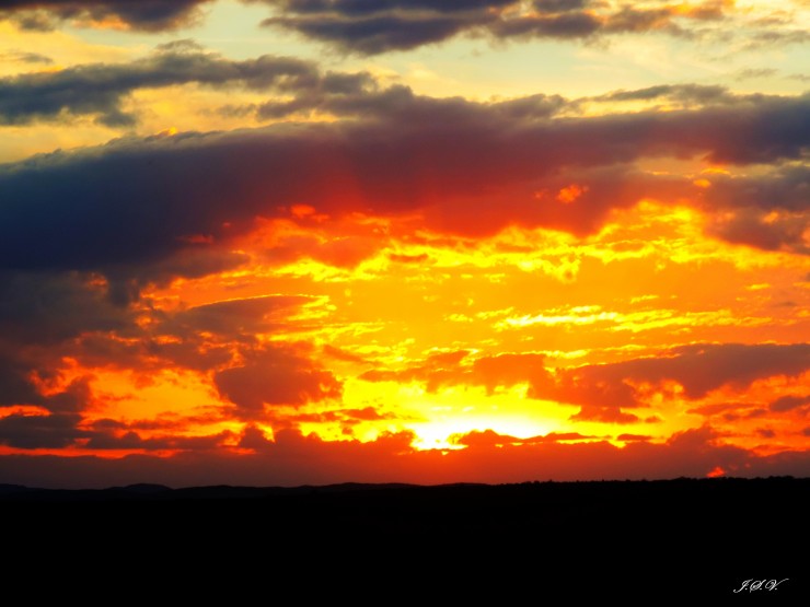 Foto 1/Naranjas del atardecer