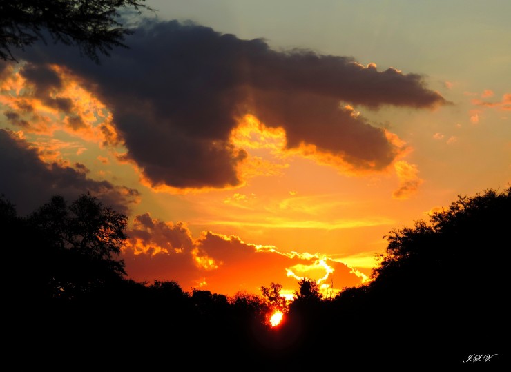 Foto 2/Naranjas del atardecer