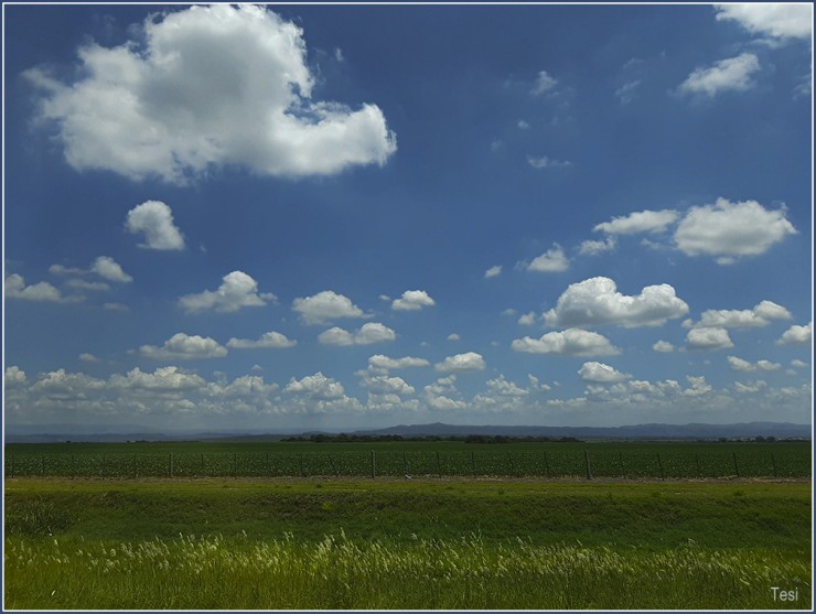 Foto 2/Desde la ruta-Sierras de Crdoba