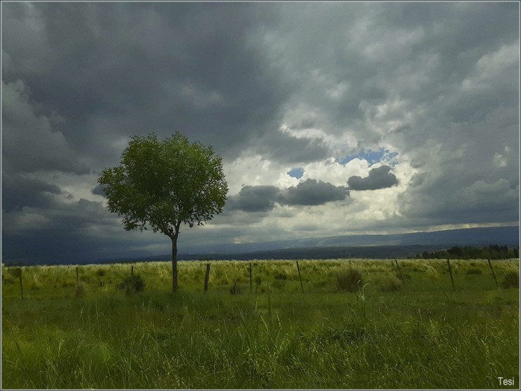 Foto 3/Desde la ruta-Sierras de Crdoba