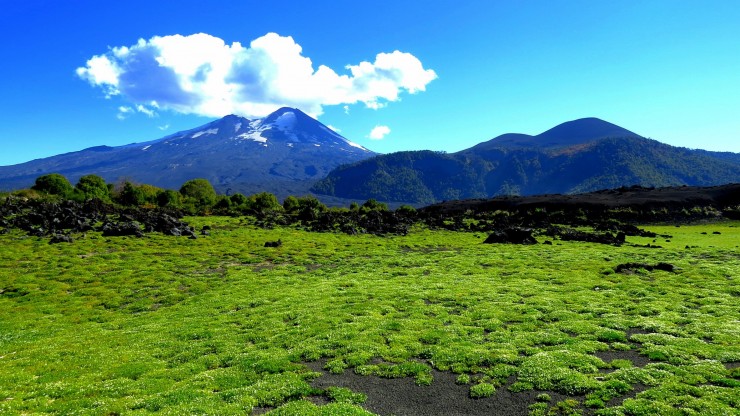 Foto 1/Laguna Quililo y sus verdes alrededores