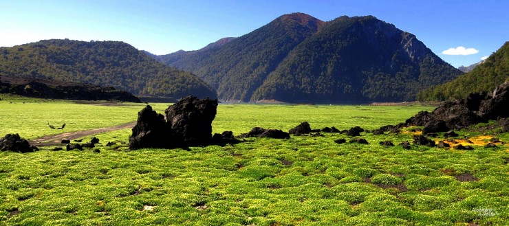 Foto 2/Laguna Quililo y sus verdes alrededores