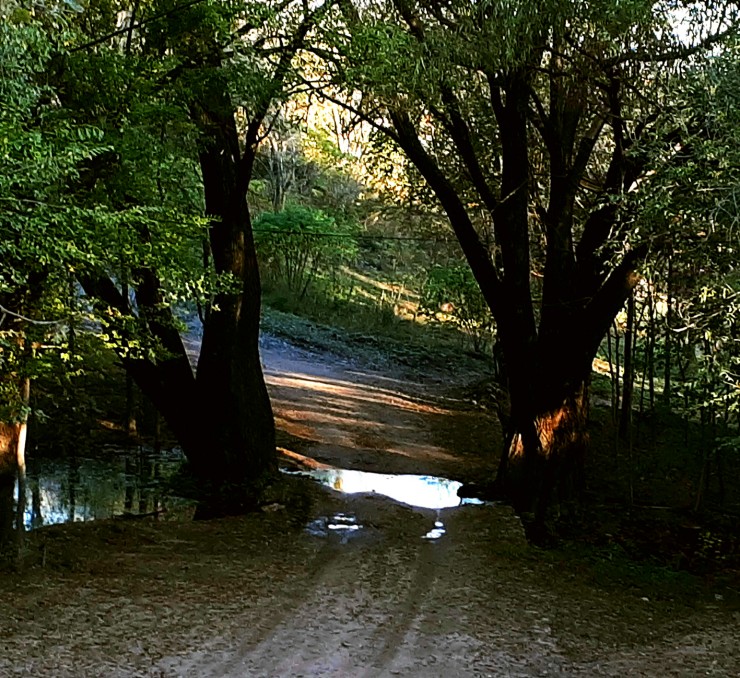 Foto 4/Reserva Estancia vieja